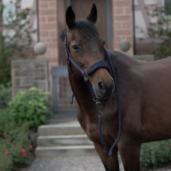 Licol matelassé Graz Horze Bleu foncé peacoat