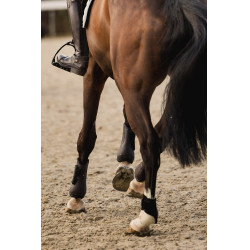 Guêtres et protège-boulets Horze Armour Airflow Marron foncé Guêtres et protège-boulets Horze Armour Airflow Marron foncé