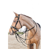 Rênes cuir/nylon type allemandes Horze Sparta Noir Rênes cuir/nylon type allemandes Horze Sparta Noir