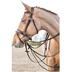 Rênes cuir/nylon type allemandes Horze Sparta Marron