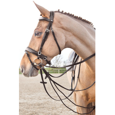 Rênes cuir/nylon type allemandes Horze Sparta Marron
