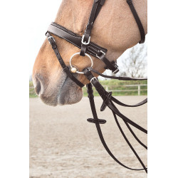 Rênes cuir/nylon type allemandes Horze Sparta Marron