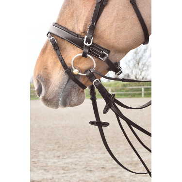 Rênes cuir/nylon type allemandes Horze Sparta Marron