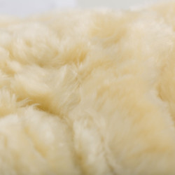 Guêtres fermées Horze Signature Noir