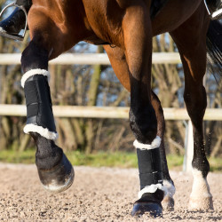 Guêtres fermées Horze Signature Noir