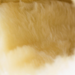 Guêtres fermées Horze Signature Noir