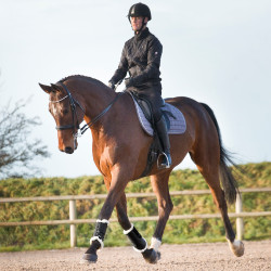 Guêtres fermées Horze Signature Noir