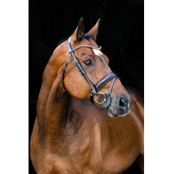 Bridon anatomique Clermont Horze Marron foncé