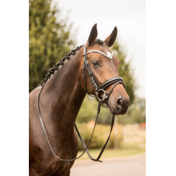 Bridon anatomique Grayson Horze à strass Noir / noir Bridon anatomique Grayson Horze à strass Noir / noir