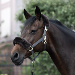 Licol Laurier Horze mouton véritable Marron