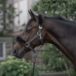 Licol Laurier Horze mouton véritable Marron