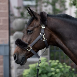 Licol Laurier Horze mouton véritable Marron