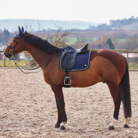 Tapis de selle dressage Zurich Tapis de selle mixte Zurich B Vertigo Blanc Tapis de selle dressage Zurich Tapis de selle mixte Zurich B Vertigo Blanc