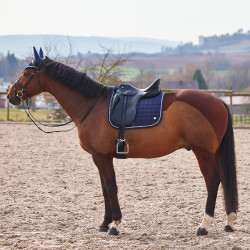 Tapis de selle dressage Zurich Tapis de selle mixte Zurich B Vertigo Blanc Tapis de selle dressage Zurich Tapis de selle mixte Zurich B Vertigo Blanc