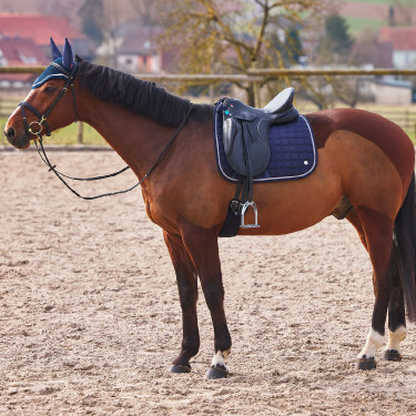 Tapis de selle dressage Zurich Tapis de selle mixte Zurich B Vertigo Tapis de selle dressage Zurich Tapis de selle mixte Zurich B Vertigo
