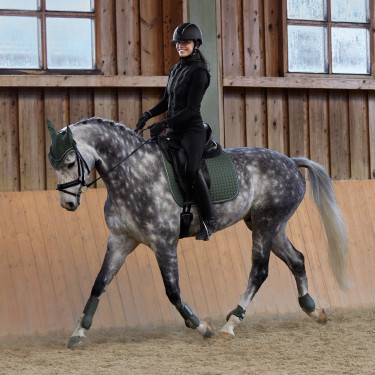 Tapis de selle de dressage Adepto Horze Tapis de selle de dressage Adepto Horze