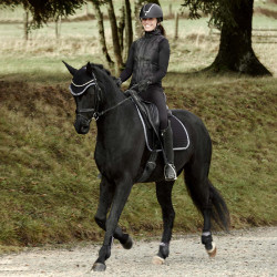 Tapis de selle de dressage Adepto Horze Noir Tapis de selle de dressage Adepto Horze Noir