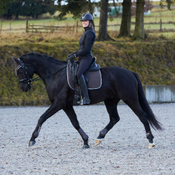 Tapis de selle de dressage Adepto Horze Marron foncé