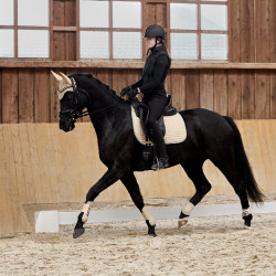 Tapis de selle de dressage Adepto Horze SBR Blanc Tapis de selle de dressage Adepto Horze SBR Blanc