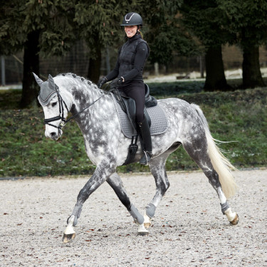 Tapis de selle de dressage Adepto Horze Tapis de selle de dressage Adepto Horze