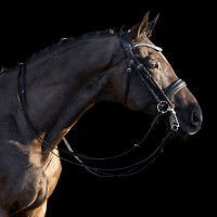 Bride HV Polo Legacy deluxe Noir Bride HV Polo Legacy deluxe Noir