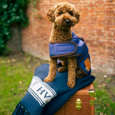 Manteau pour chien HV Polo Puck Manteau pour chien HV Polo Puck