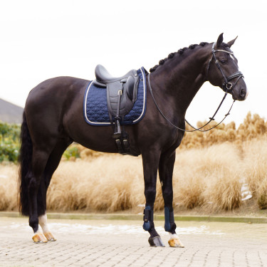 Tapis de selle Imperial Riding Lenny DR Tapis de selle Imperial Riding Lenny DR