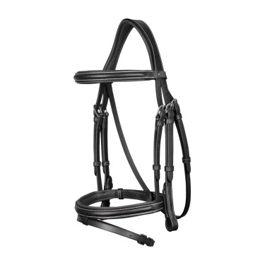 Bridon Muserolle Combinée Dy'on Noir