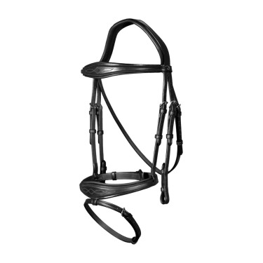 Bridon Muserolle Combinée Anatomique Dy'on Noir