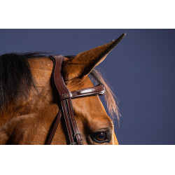 Bridon Muserolle Combinée Anatomique Dy'on Marron