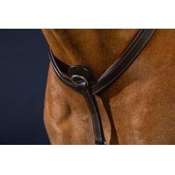 Collier De Chasse à Pont Dy'on Marron