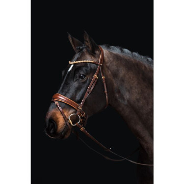 Bridon Marrakesh HKM Bridon Marrakesh HKM