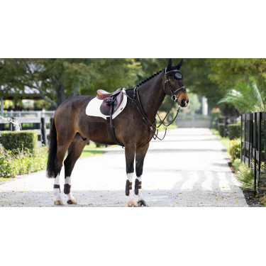 Tapis amortisseur LeMieux Close Contact ProSorb 2 Poches Tapis amortisseur LeMieux Close Contact ProSorb 2 Poches