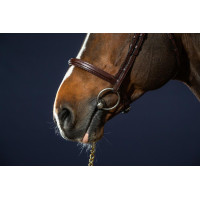 Bridon Muserolle Combinée Dy'on Noir