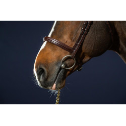 Bridon Muserolle Combinée Dy'on New English Collection Marron