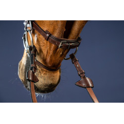 Bridon Muserolle Combinée Dy'on New English Collection Marron