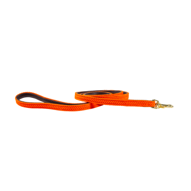 Laisse pour chien Plaited Nylon 120 cm Kentucky Laisse pour chien Plaited Nylon 120 cm Kentucky