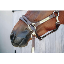 Longe et chaine de Présentation en cuir Kentucky Marron Longe et chaine de Présentation en cuir Kentucky Marron