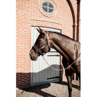 Longe Présentation en Cuir Kentucky Noir