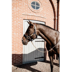 Longe Présentation en Cuir Kentucky Marron Longe Présentation en Cuir Kentucky Marron