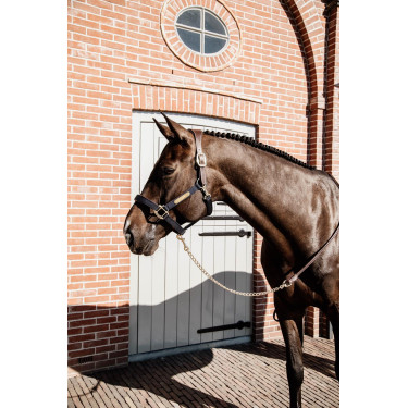 Longe Présentation en Cuir Kentucky Marron Longe Présentation en Cuir Kentucky Marron