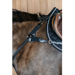 Collier de chasse 5 points avec élastiques D Collection Noir