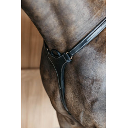 Collier de chasse 5 points avec élastiques D Collection Noir