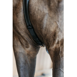 Collier de chasse 5 points avec élastiques D Collection Noir