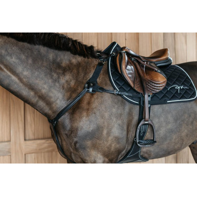 Collier de chasse 5 points avec élastiques New English Collection Noir