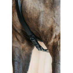 Collier de chasse 5 points avec élastiques New English Collection Noir Collier de chasse 5 points avec élastiques New English Collection Noir