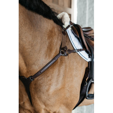Collier de chasse 5 points avec élastiques New English Collection Marron Collier de chasse 5 points avec élastiques New English Collection Marron