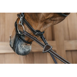 Bridon Muserolle Combinée avec Montants à Mousquetons Working by Dy'on Marron Bridon Muserolle Combinée avec Montants à Mousquetons Working by Dy'on Marron