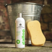Shampoing antibactérien Gallop® Carr & Day & Martin Shampoing antibactérien Gallop® Carr & Day & Martin