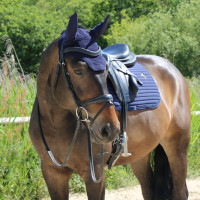 Bonnet Wellington Kentucky Bleu marine Bonnet Wellington Kentucky Bleu marine